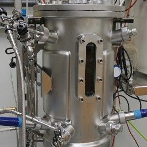 Bioprocessing Efficiency