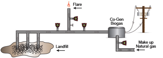 Capturing Biogas